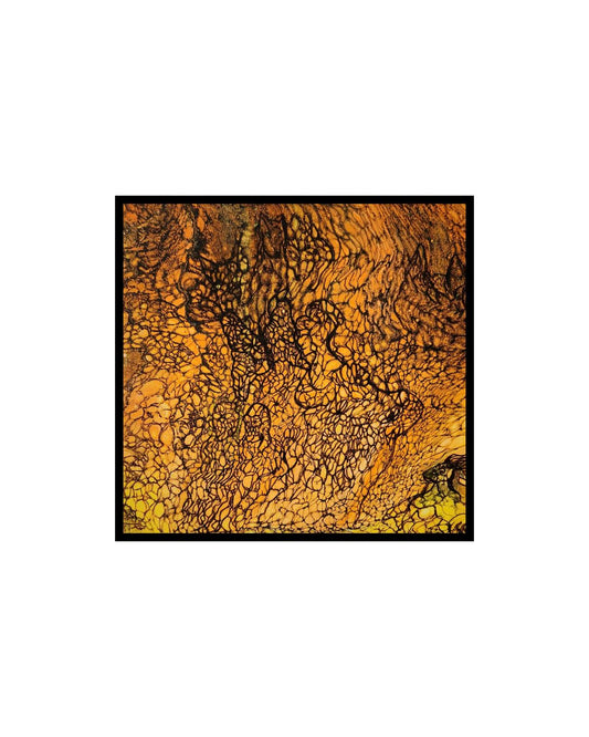 Can You See Me? - 8 x 8" Original | Interactive Hidden Image Fluid Art